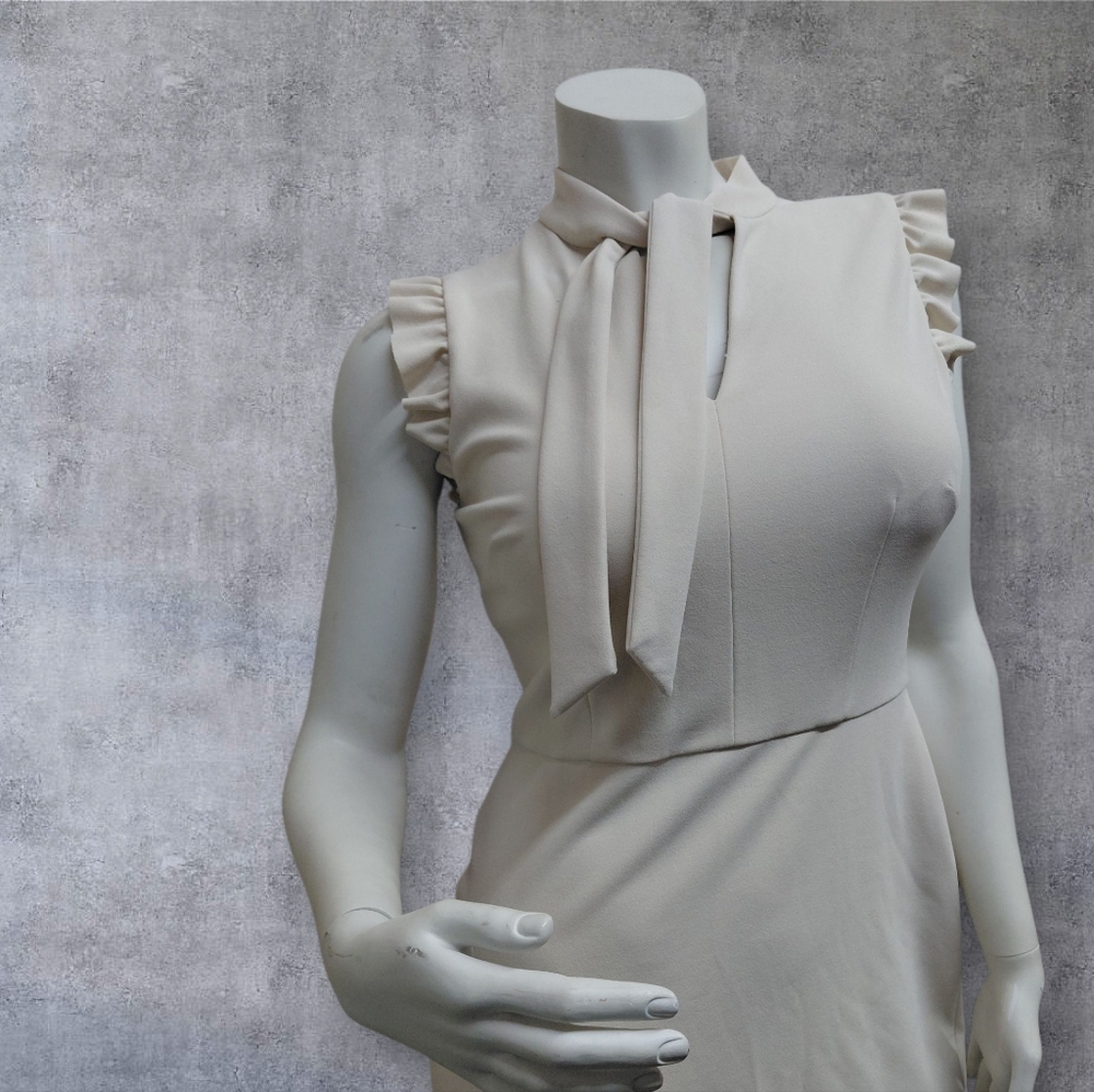 Chic Cream Tie-Neck Dress